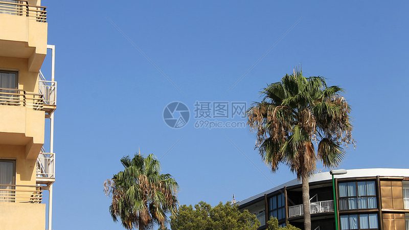 冬令营方案定制，别让标准困在模板里